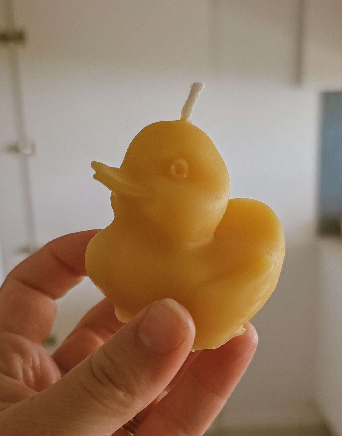Duck Candle