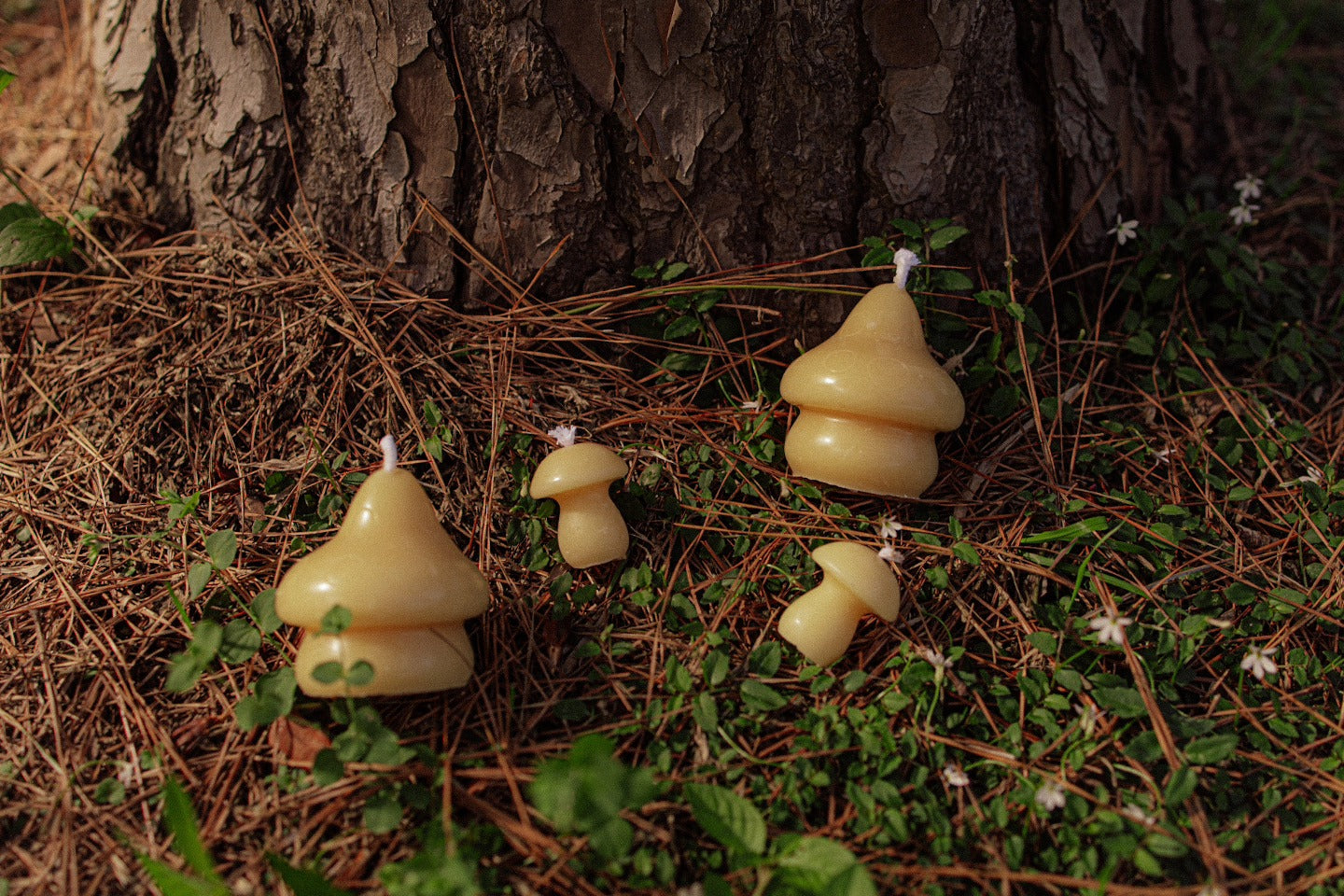Mushroom Candles