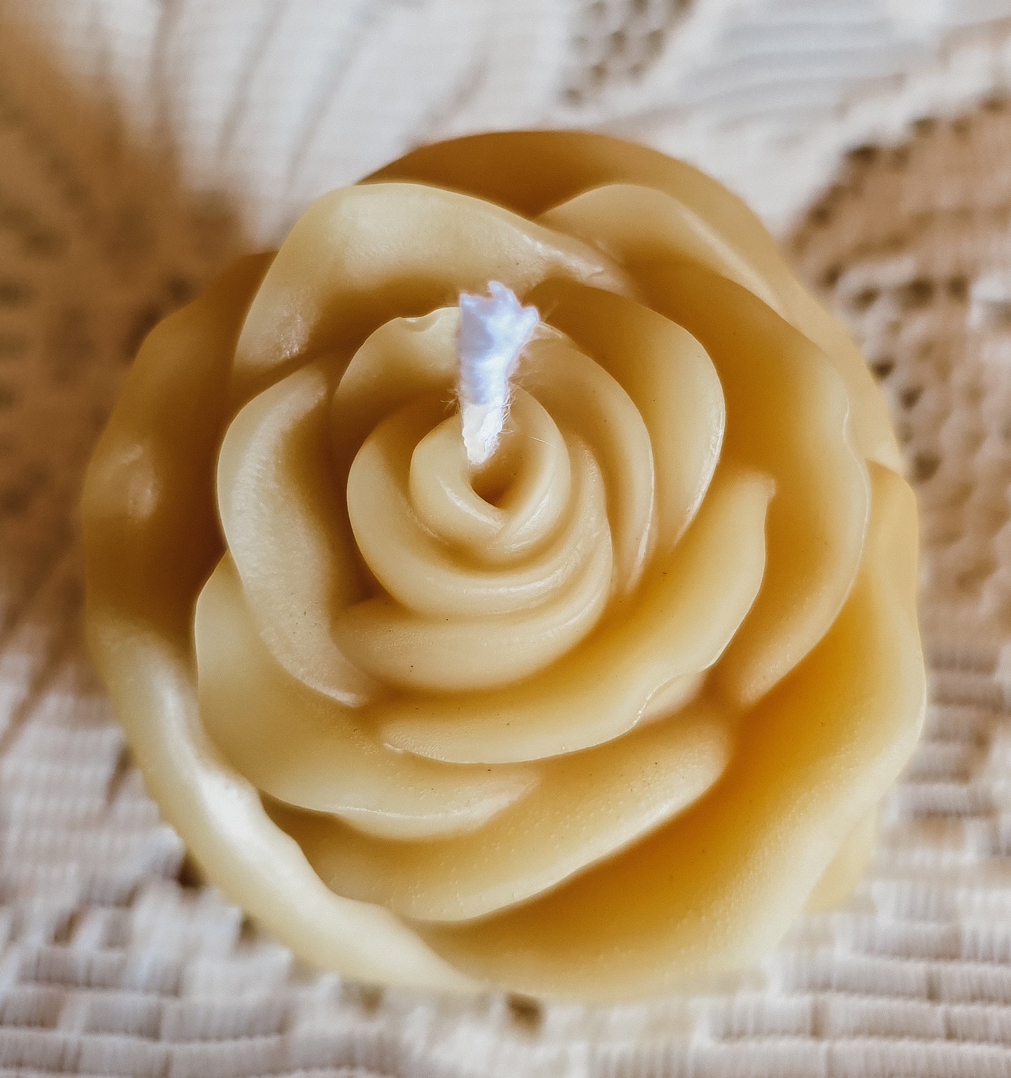 Solid Poured Blooming Rose