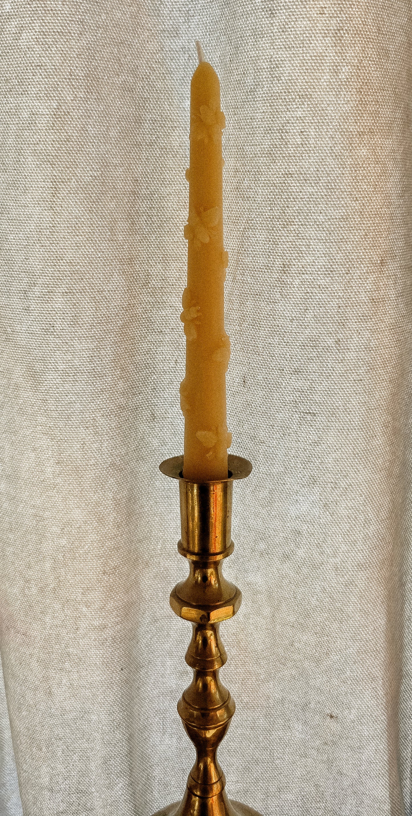 Honey Bee Taper