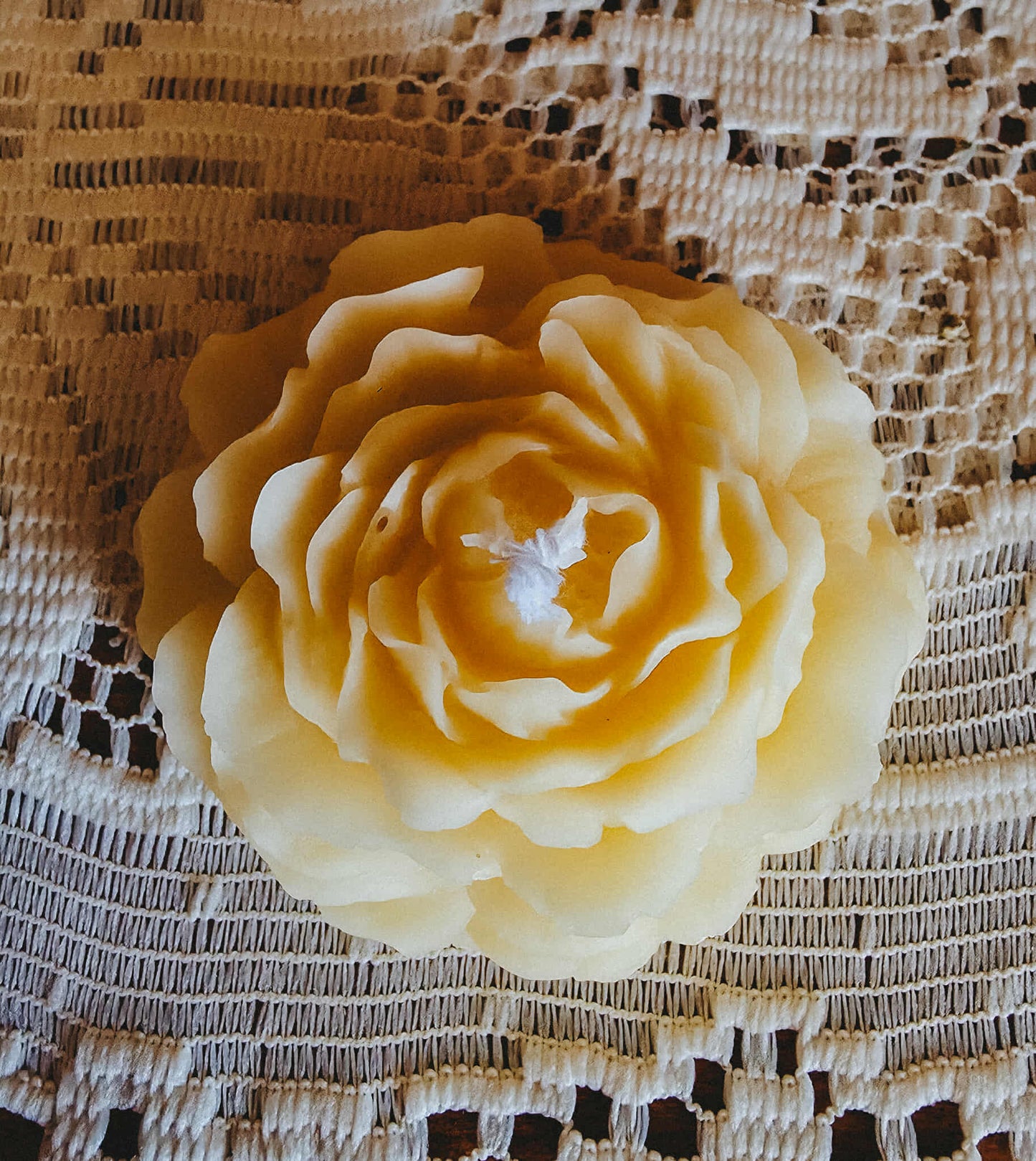 Poured Peony Beeswax Candle