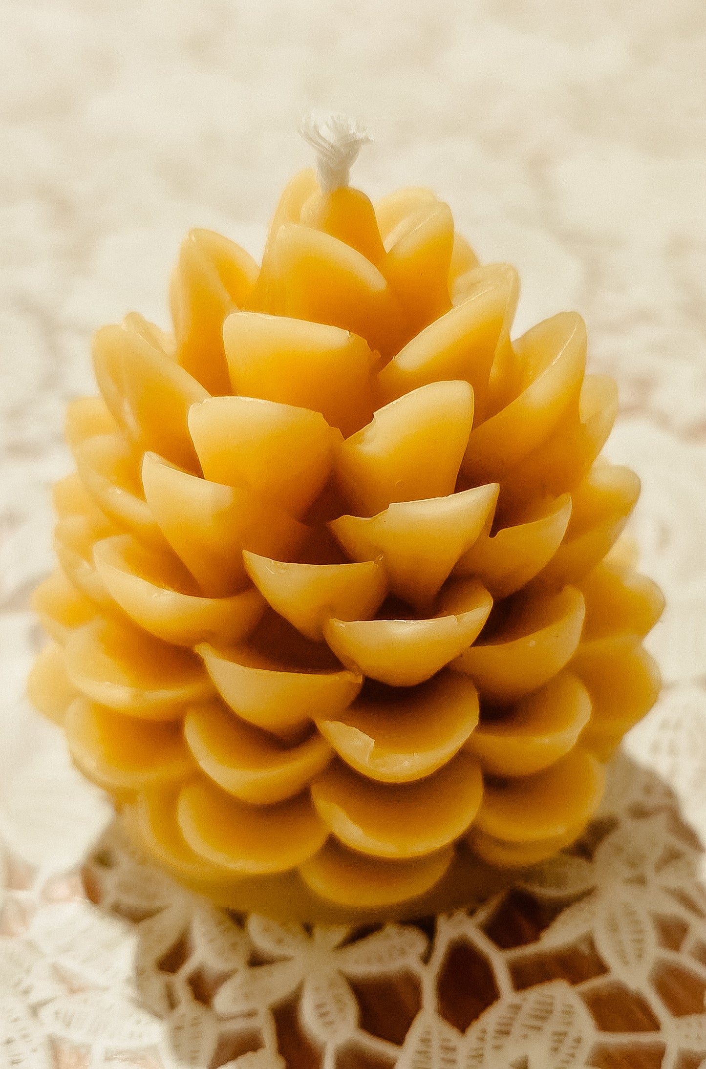 Pine Cone Beeswax Candle