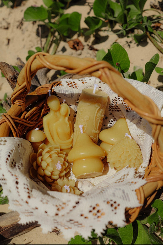 Forest Lovers Bundle