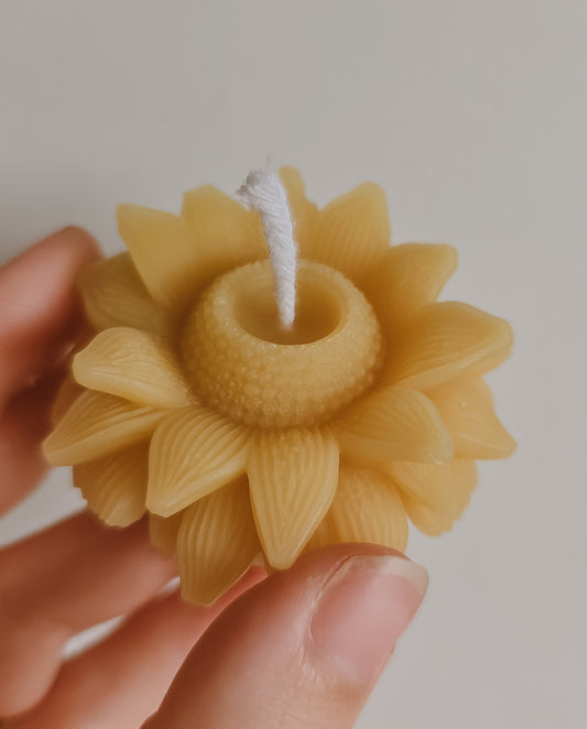 Mini Sunflower