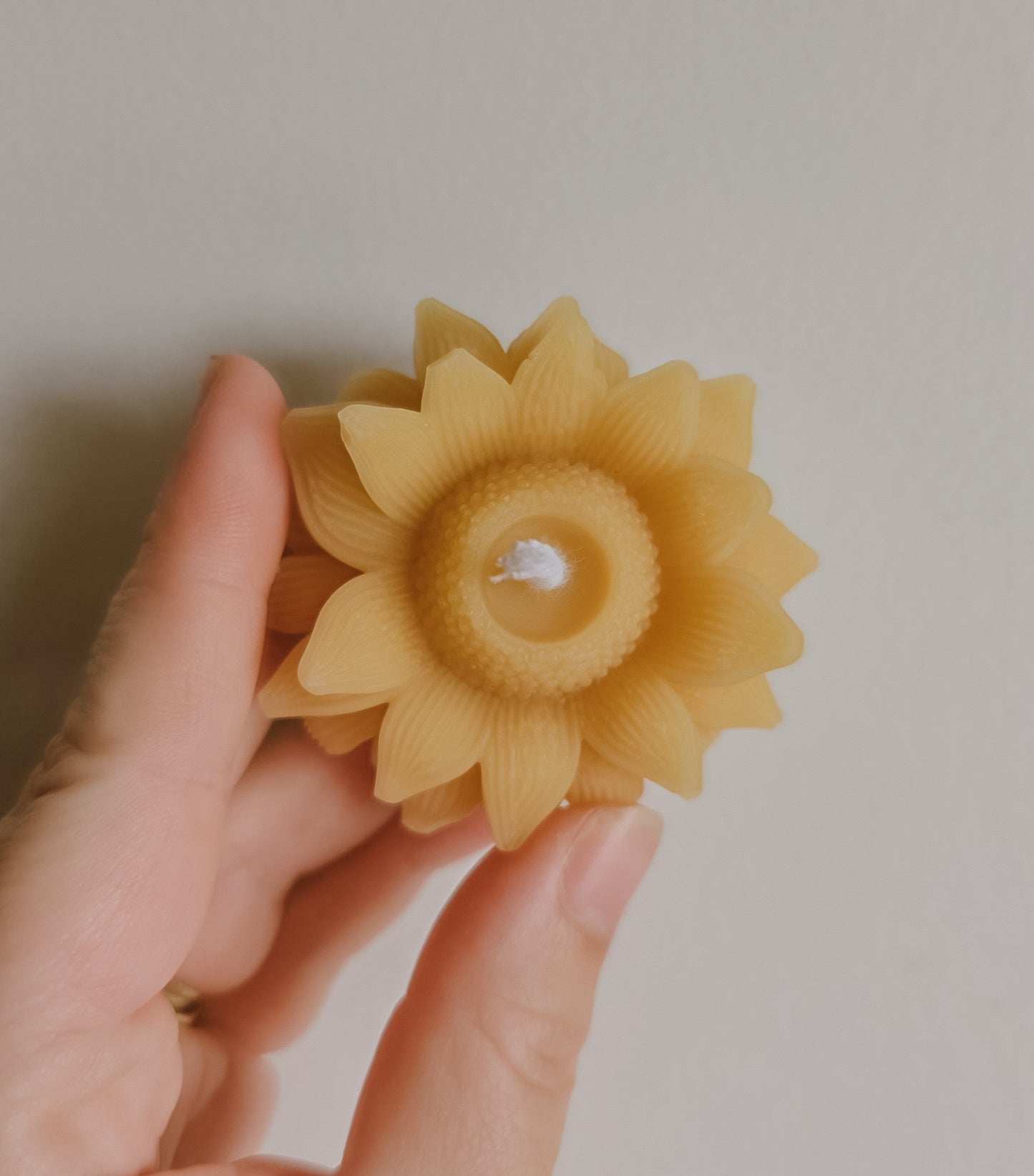 Mini Sunflower